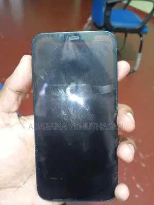 Apple iPhone 12 2023 (Used)