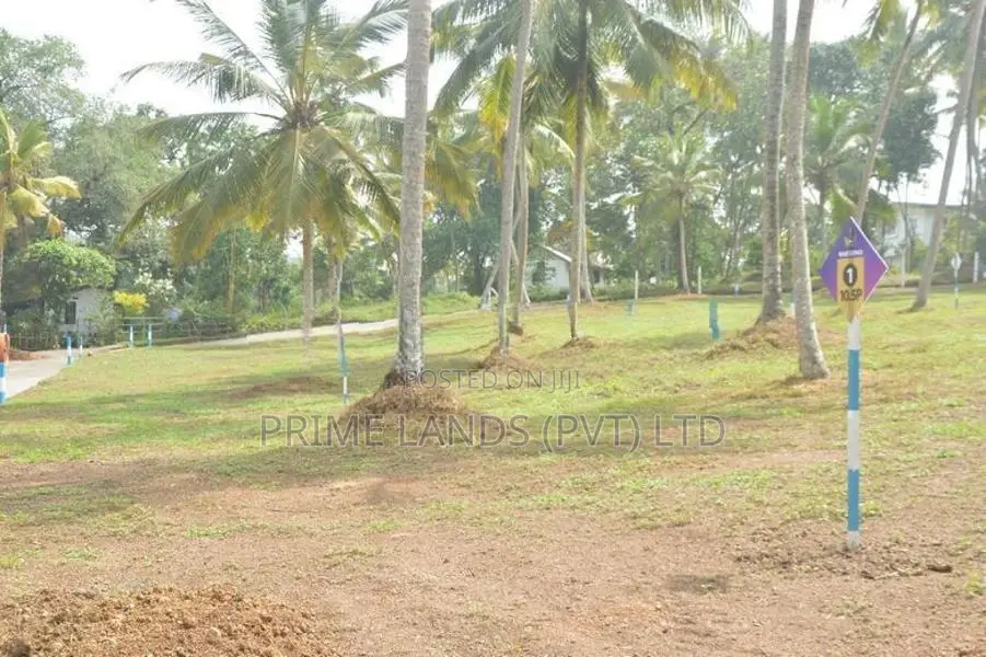 ගොරකාන Aqua Pearl හොටෙල් එක පාරෙන් අගනා බිම් කොටස්