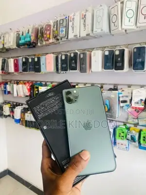 Apple iPhone 11 Pro Max 256GB (Used)