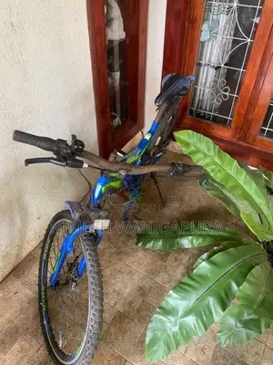 Tomahawk Bicycle