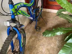 Tomahawk Bicycle