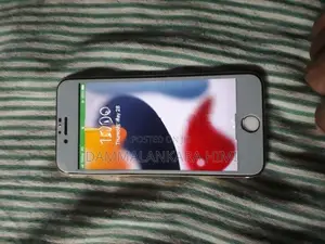 Apple iPhone 6S ipple (Used)