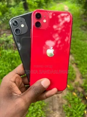 Apple iPhone 11 (Used)
