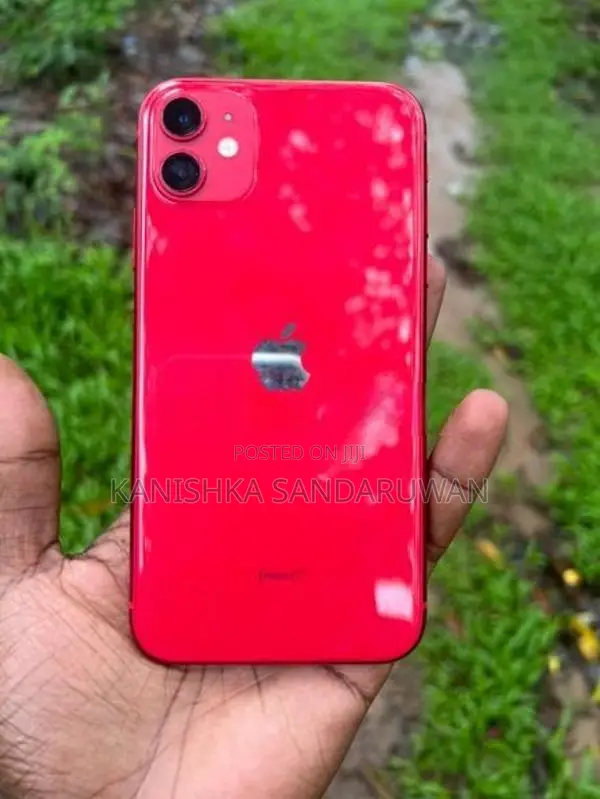 Apple iPhone 11 (Used)