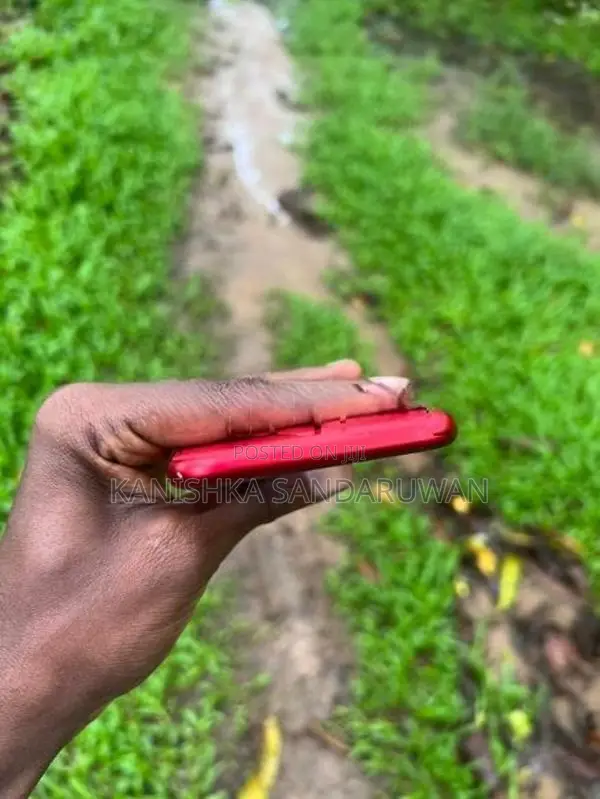 Apple iPhone 11 (Used)