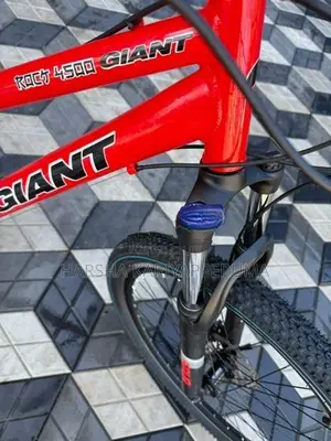 Ginat Bicycle