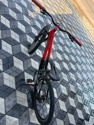 Ginat Bicycle