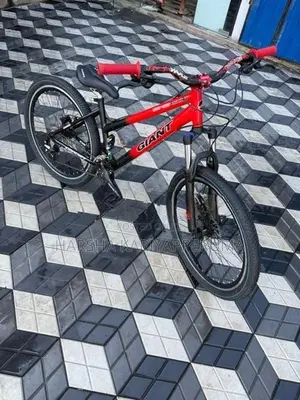 Ginat Bicycle