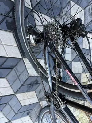 Ginat Bicycle