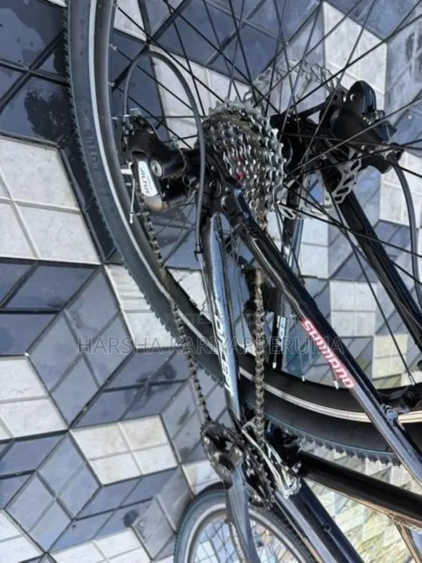 Ginat Bicycle