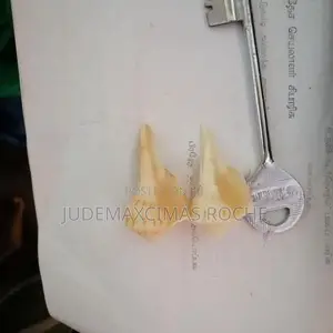 Valampuri Pendant