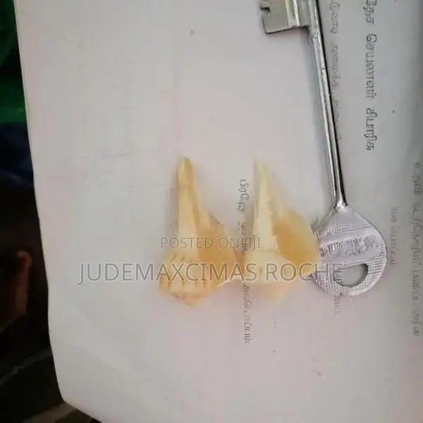 Valampuri Pendant