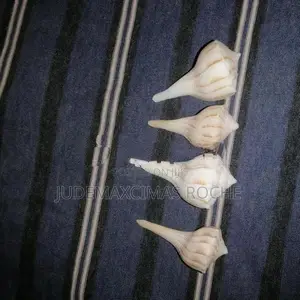 Valampuri Pendant