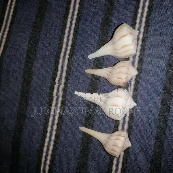 Valampuri Pendant
