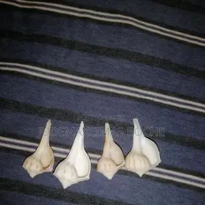 Valampuri Pendant