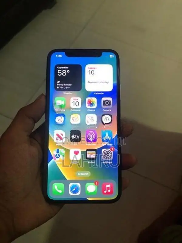 Apple iPhone X 256GB (Used)