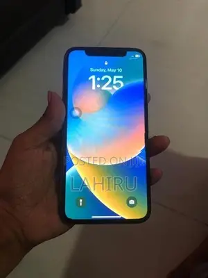 Apple iPhone X 256GB (Used)