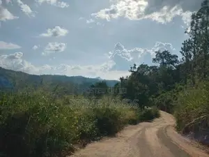 Land for Sale Nillamba