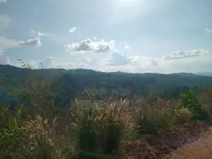 Land for Sale Nillamba