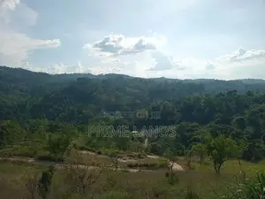 Land for Sale Nillamba