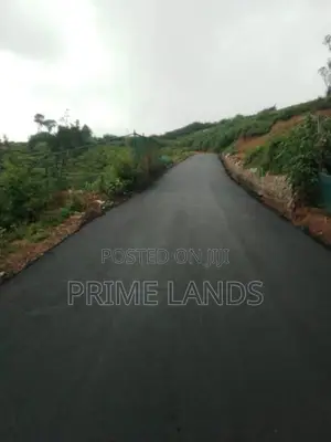 View Point Land for Sale Nuwara Eliya