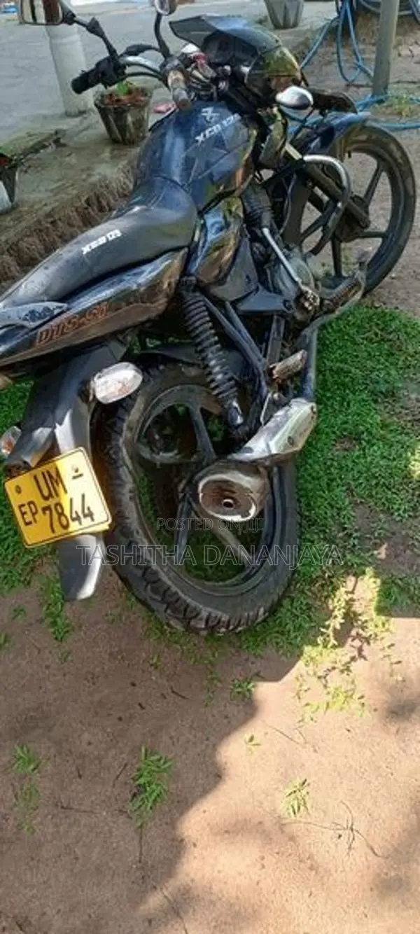 Bajaj XCD 125 2008