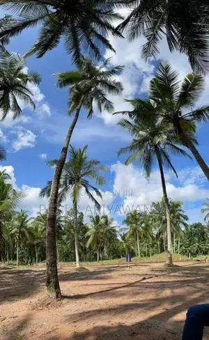 කුලියාපිටිය මීගහකොටුවෙන් බිම් කොටස් 2ක් විකිණීමට