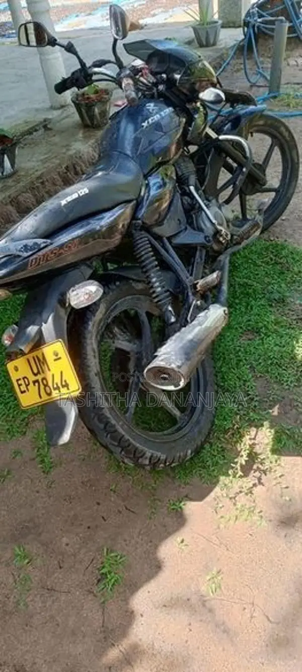 Bajaj XCD 125 2008