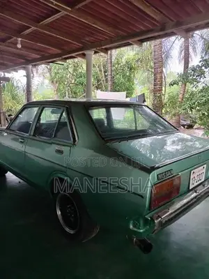 Nissan Sunny 1981