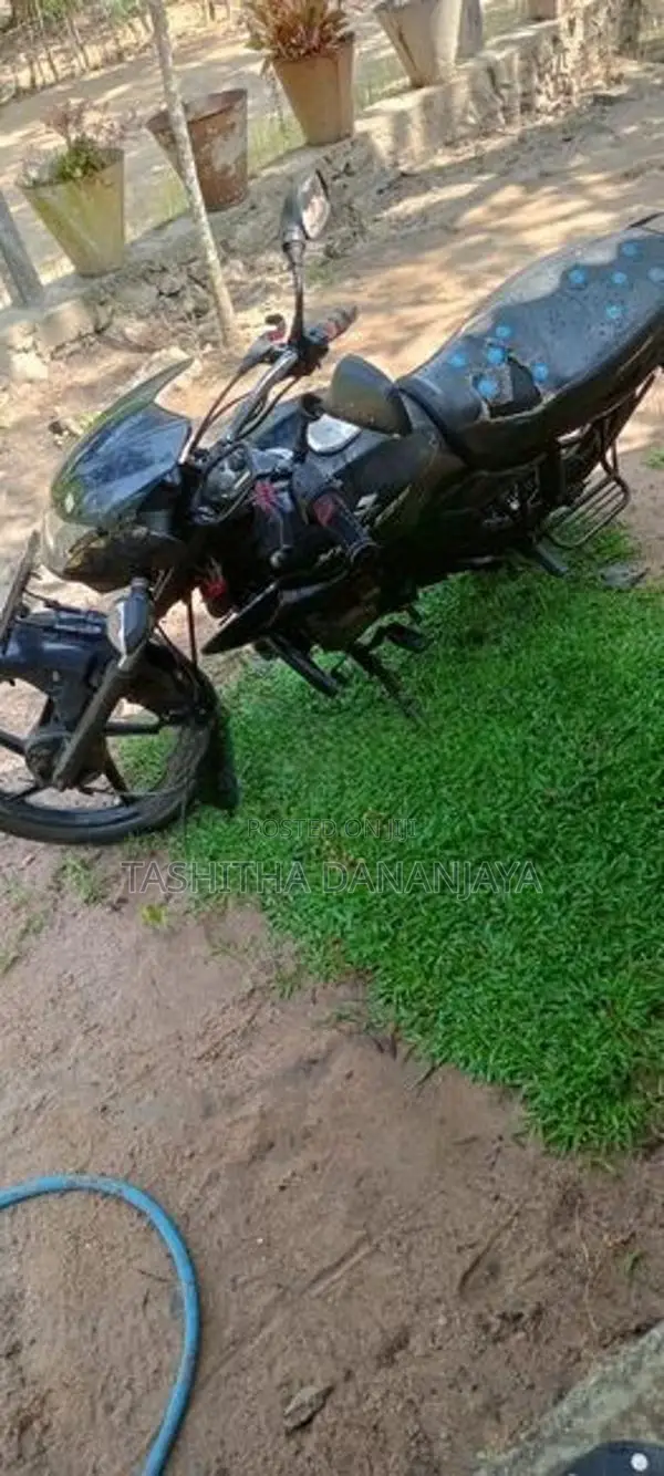 Bajaj XCD 125 2008