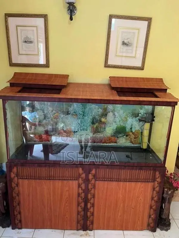 Fish Tank With Accessories