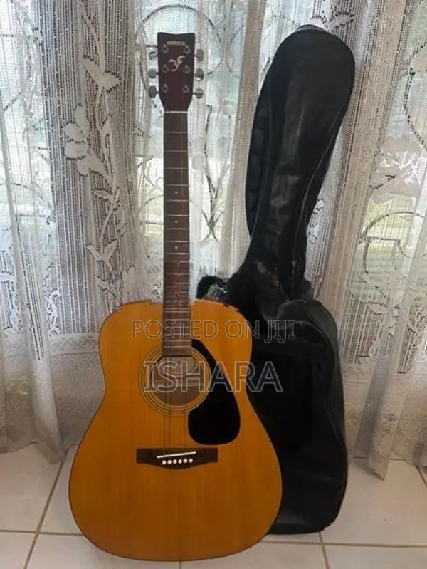 F 310 Acoustic Guitar