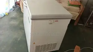 Singer Chest Freezer
