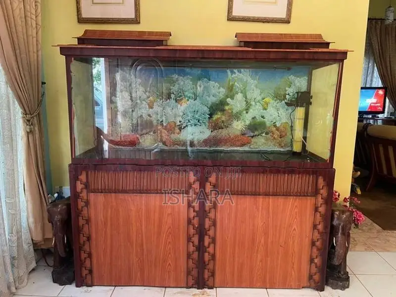 Fish Tank With Accessories