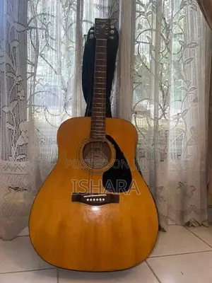F 310 Acoustic Guitar