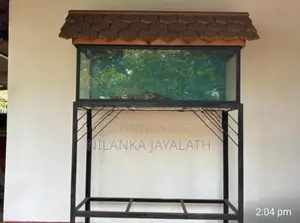 Fish Tank
