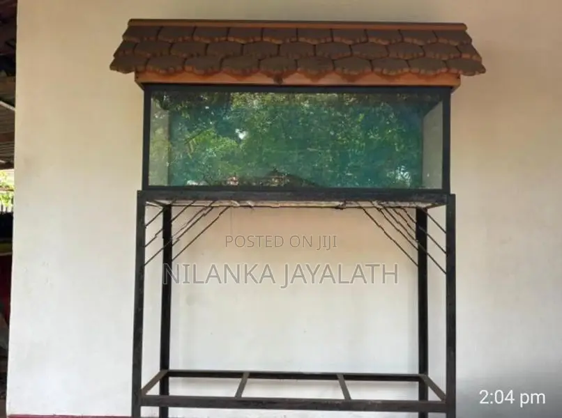 Fish Tank