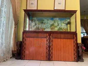 Fish Tank With Accessories