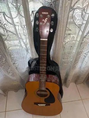 F 310 Acoustic Guitar