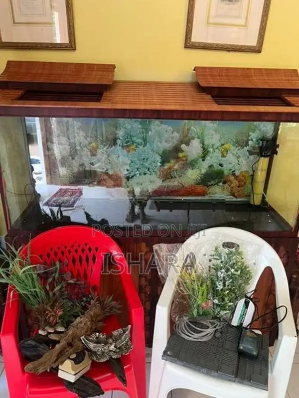 Fish Tank With Accessories