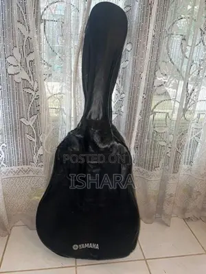 F 310 Acoustic Guitar