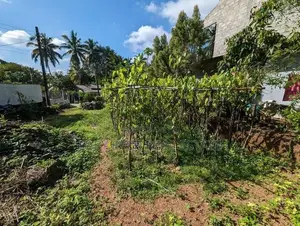 වැලිවේරිය නගරයට ආසන්නයෙන් අගනා බිම් කොටසක්