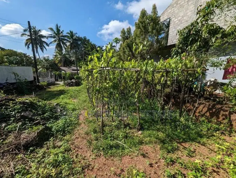 වැලිවේරිය නගරයට ආසන්නයෙන් අගනා බිම් කොටසක්