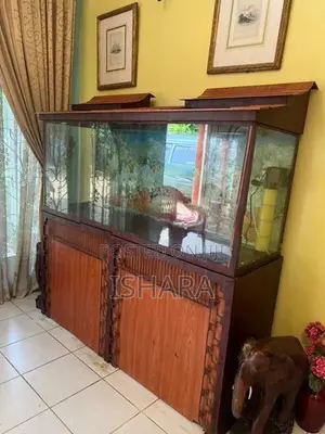 Fish Tank With Accessories