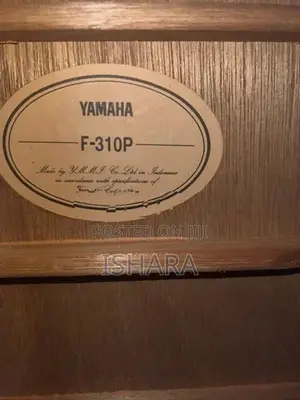 F 310 Acoustic Guitar
