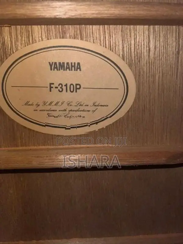 F 310 Acoustic Guitar