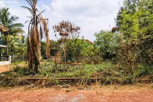 කටුනායක වේයන්ගොඩ මාර්ගයට ‎ 300m දුරින් ඉඩමක්