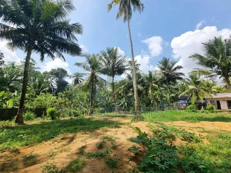 කොළඹ දෙල්ගොඩ 225 බස් පාරට ආසන්නව බිම්කොටස් විකිණීමට