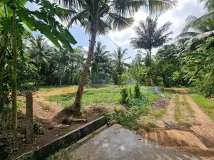 කොළඹ දෙල්ගොඩ 225 බස් පාරට ආසන්නව බිම්කොටස් විකිණීමට