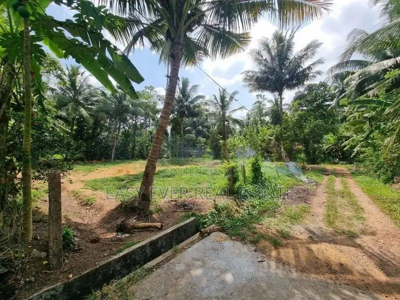 කොළඹ දෙල්ගොඩ 225 බස් පාරට ආසන්නව බිම්කොටස් විකිණීමට
